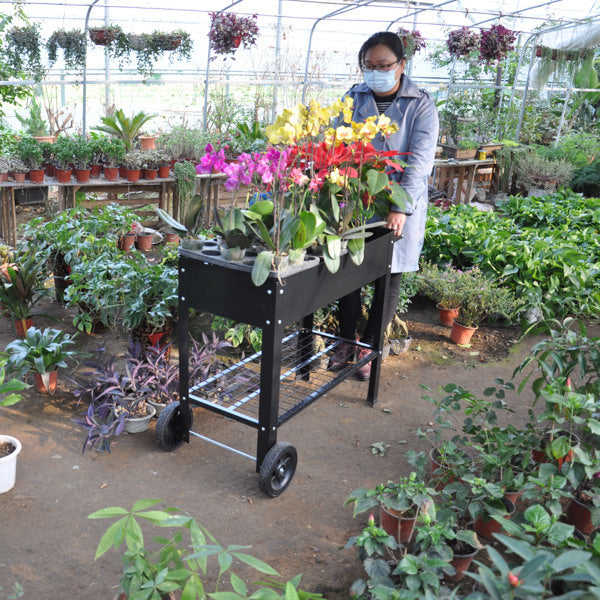Mobile Metal Raised Garden Bed Cart With Legs, Elevated Tall Planter Box With Wheels For Outdoor Indoors House Patio Vegetables Tomato DIY Herb Grow -Black